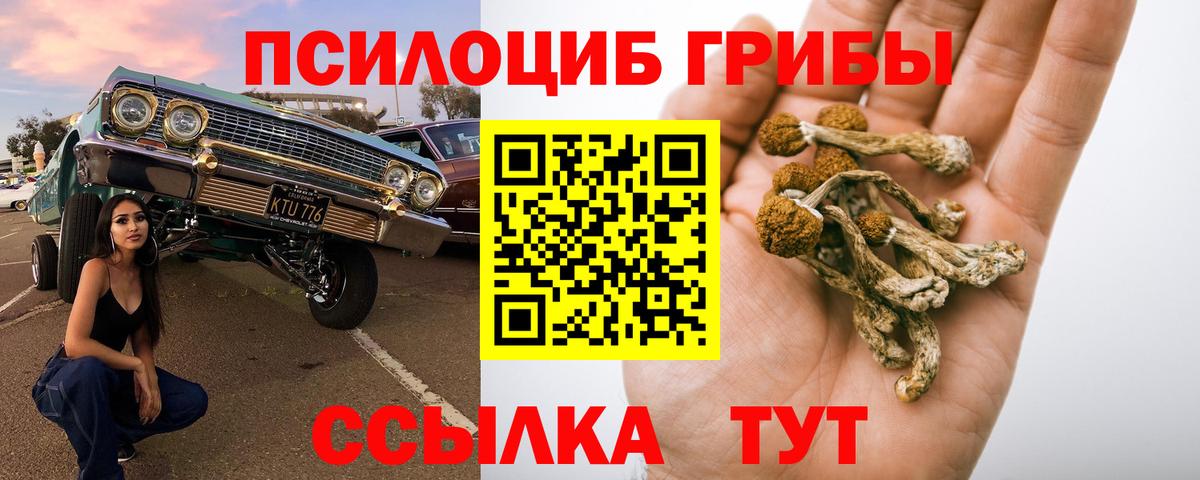 Галлюциногенные грибы Magic Shrooms Ступино
